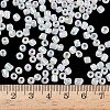 6/0 Glass Seed Beads SDB4mm161-4