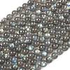 Natural Labradorite Beads Strands G-L654-O02-6mm-2