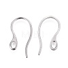 Tarnish Resistant 304 Stainless Steel Earring Hooks LS-X-STAS-I100-23P-2