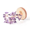 Natural Amethyst Chips with Brass Wrapped Wire Money Tree on Wood Base Display Decorations DJEW-B007-05B-2