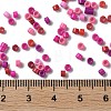 Baking Paint Glass Seed Beads SEED-S042-05A-09-4