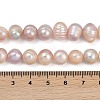 Natural Cultured Freshwater Pearl Beads Strands PEAR-I007-07Z-01A-5