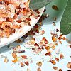 Natural Carnelian Chip Beads G-O103-18-4