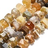 Natural Botswana Agate Beads Strands G-L642-H11-01-2