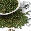 Transparent Colours Glass Seed Beads X-SEED-F006-03A-04-1