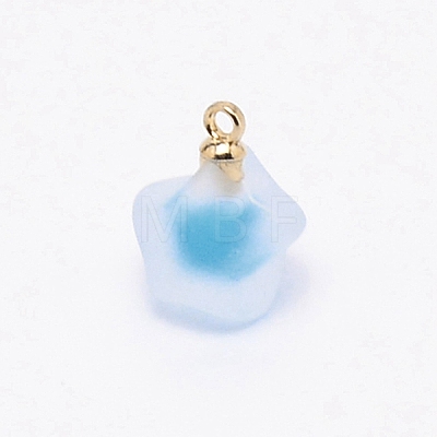 Resin Frosted Pendants MP-TAC0009-03I-1