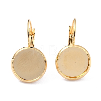 304 Stainless Steel Leverback Earring Settings STAS-F191-03G-14mm-1