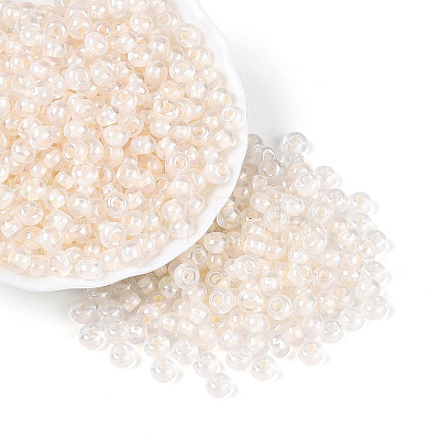 FGB Inside Colours Transparent Glass Seed Beads SEED-T009-01K-1