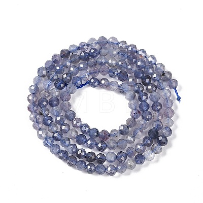 Natural Iolite Beads Strands G-N342-32-1