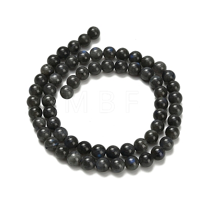 Natural Black Labradorite Beads Strands G-L642-B15-6mm-1