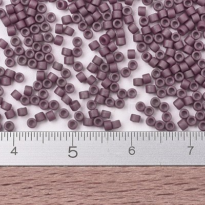 MIYUKI Delica Beads SEED-J020-DB2295-1