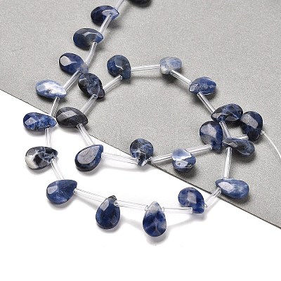 Natural Sodalite Beads Strands G-Q167-A08-01-1
