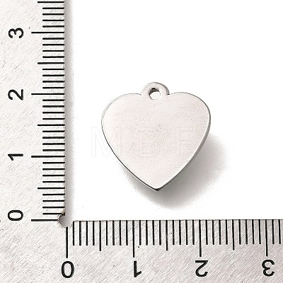 304 Stainless Steel Pendants STAS-Q346-06P-02-1