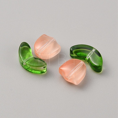 Handmade Lampwork Beads LAMP-TAC0004-04C-1