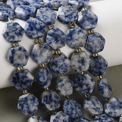 Natural Blue Spot Jasper Beads Strands G-H344-B02-01-1