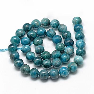 Natural Apatite Beads Strands G-R446-12mm-11-1