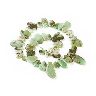 Natural Chrysoprase Beads Strands G-F645-16-1