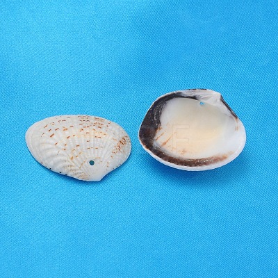 Natural Shell Beads PTS022Y-1