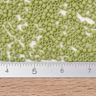 MIYUKI Delica Beads SEED-J020-DB2290-1