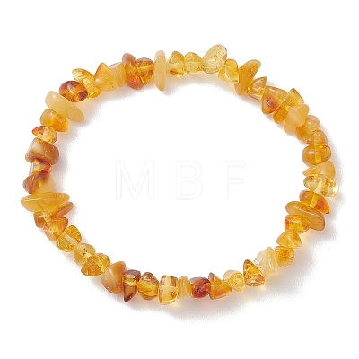 Natural Amber Chip Beads Stretch Bracelets for Women BJEW-JB13337-1