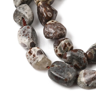 Natural Leopard Skin Jasper Beads Strands GG-CBAC13F-A01-01-1