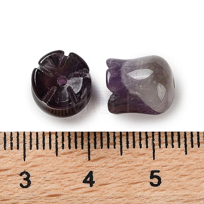 Natural Amethyst Beads G-G109-01B-1