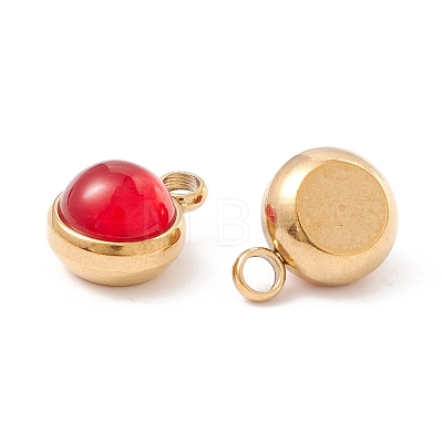 Natural Carnelian Charms G-K325-01G-05-1