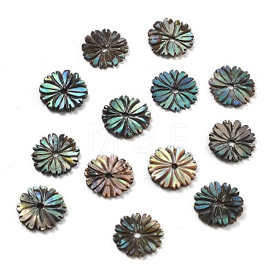 Natural Paua Shell Carved Beads SSHEL-Z002-04-1