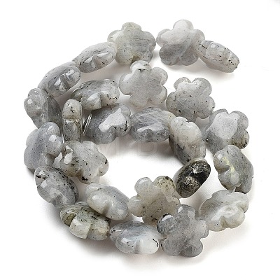 Natural Labradorite Beads Strands G-F769-P01-01-1