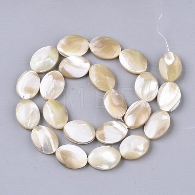 Natural Trochid Shell/Trochus Shell Beads Strands SSHEL-N032-05-1