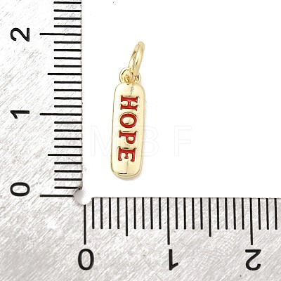 Brass Enamel Charms KK-P338-01G-E02-1