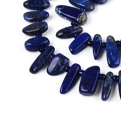 Natural Lapis Lazuli Beads Strands G-Z091-A23-1
