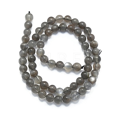 Natural Grey Moonstone Beads Strands G-K245-A05-02-1