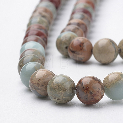 Natural Aqua Terra Jasper Strands X-G-S150-50-6mm-1