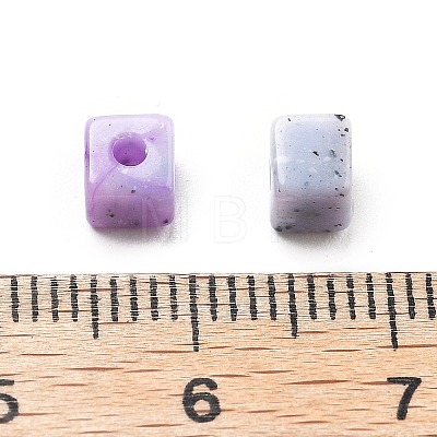 Transparent Acrylic Beads OACR-H044-04A-05-1