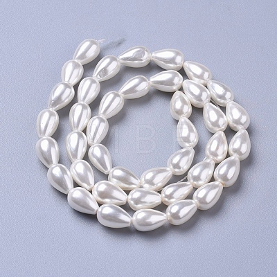 Polished Shell Pearl Beads Strands X-BSHE-L042-A02-1