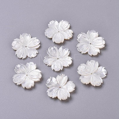 Natural White Shell Beads BSHE-XCP0001-84-1