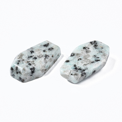 Natural Sesame Jasper Cabochons G-N336-001D-1