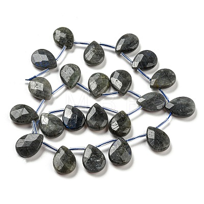 Natural Labradorite Beads Strands G-D864-12B-01-1