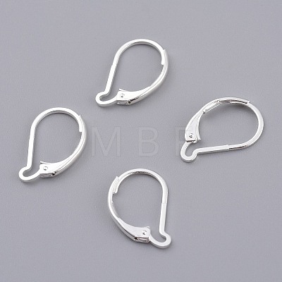 Brass Leverback Earring Findings LS-KK-Z007-27S-1