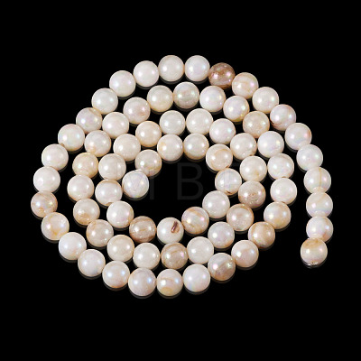 2 Strands AB Color Natural Freshwater Shell Beads Strands BSHE-TA0001-40-1