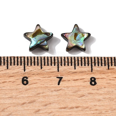 Natural Abalone Shell/Paua Shell Beads SHEL-B003-12-1