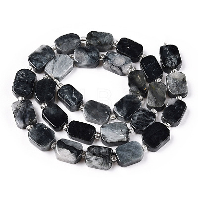Natural Eagle Eye Stone Beads Strands G-T138-05-1