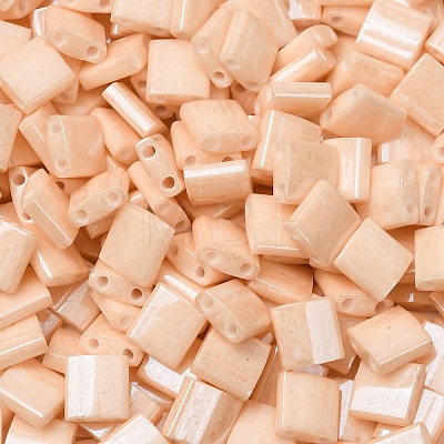 MIYUKI TILA Beads X-SEED-J020-TL593-1
