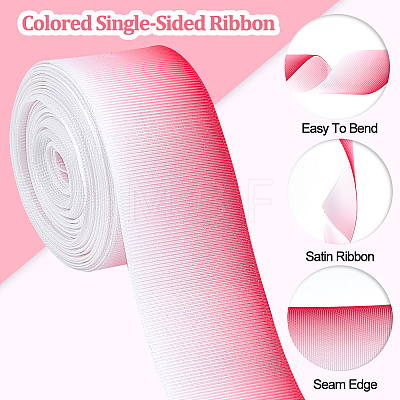Gradient Color Polyester Grosgrain Ribbons OCOR-WH0047-20B-1