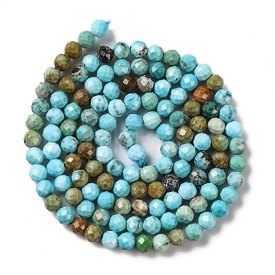 Natural Howlite Beads Strands G-C025-02B-06-1