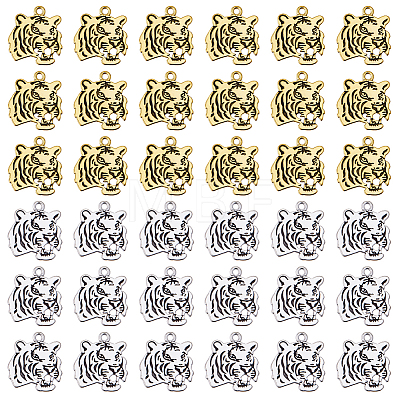 40Pcs 2 Styles Tibetan Style Alloy Pendants FIND-DC0008-53-1