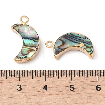 Natural Paua Shell Pendants SHEL-P017-24G-1