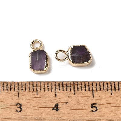 Natural Amethyst Rectangle Charms G-Q169-07G-09-1