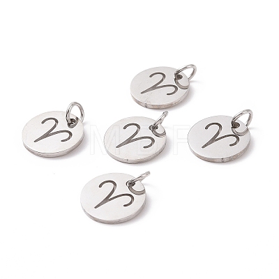 304 Stainless Steel Charms STAS-Q201-T445-1S-1